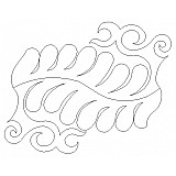 elegant feather
